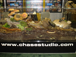 DSC01916
