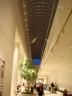 DSC05283.jpg