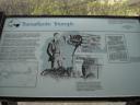 DSC05570.jpg
