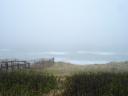 DSC05571.jpg