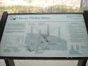 DSC05572.jpg