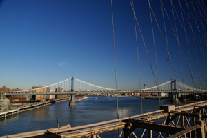 DSC01403.jpg
