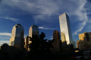 DSC01428.jpg