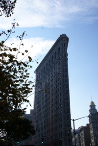 DSC01501.jpg
