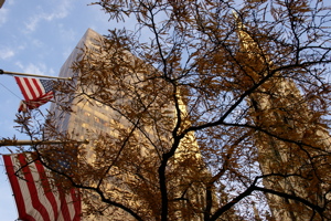 DSC01552.jpg