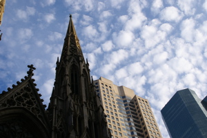 DSC01554.jpg
