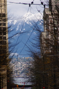 DSC01986.jpg