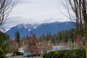 DSC01990.jpg