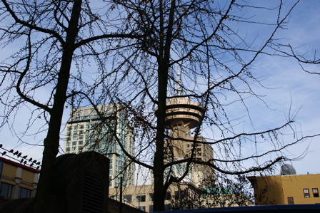 DSC02023.jpg